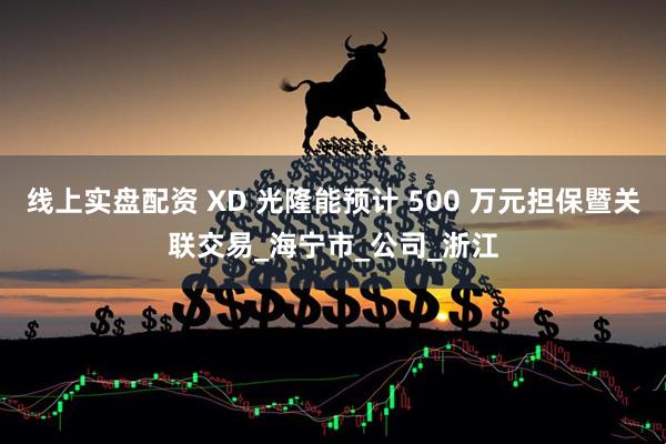 线上实盘配资 XD 光隆能预计 500 万元担保暨关联交易_海宁市_公司_浙江